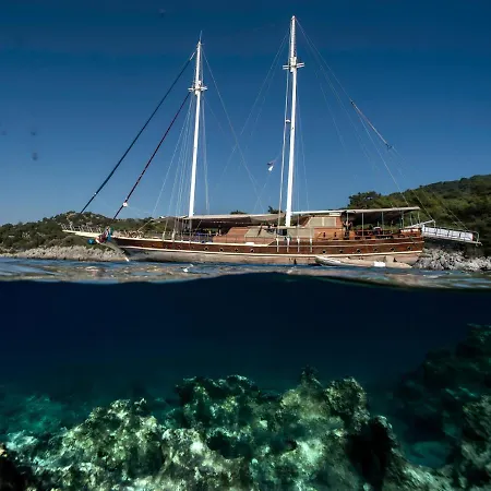 ספינת מלון Cabin Charter In Turkey *